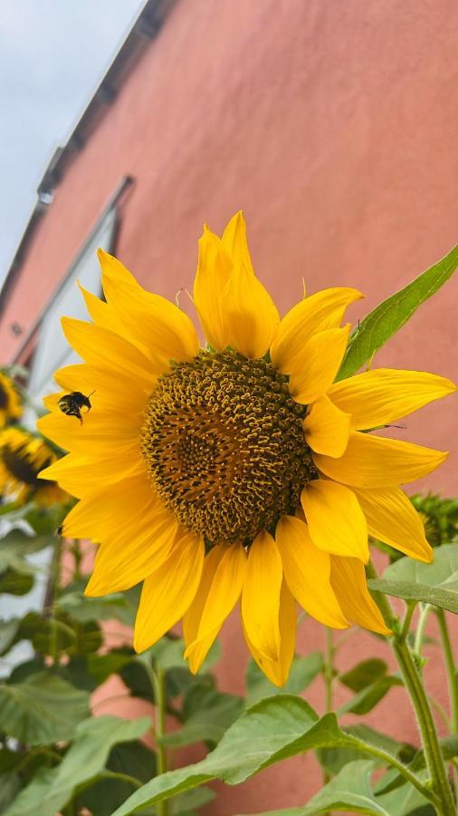 Agriturismo Su Barraccu Loceri Eksteriør bilde