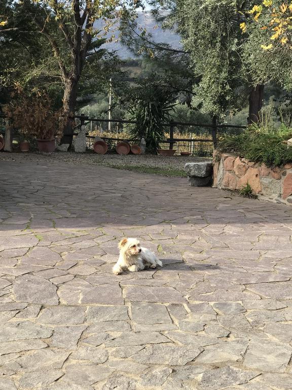 Agriturismo Su Barraccu Loceri Eksteriør bilde