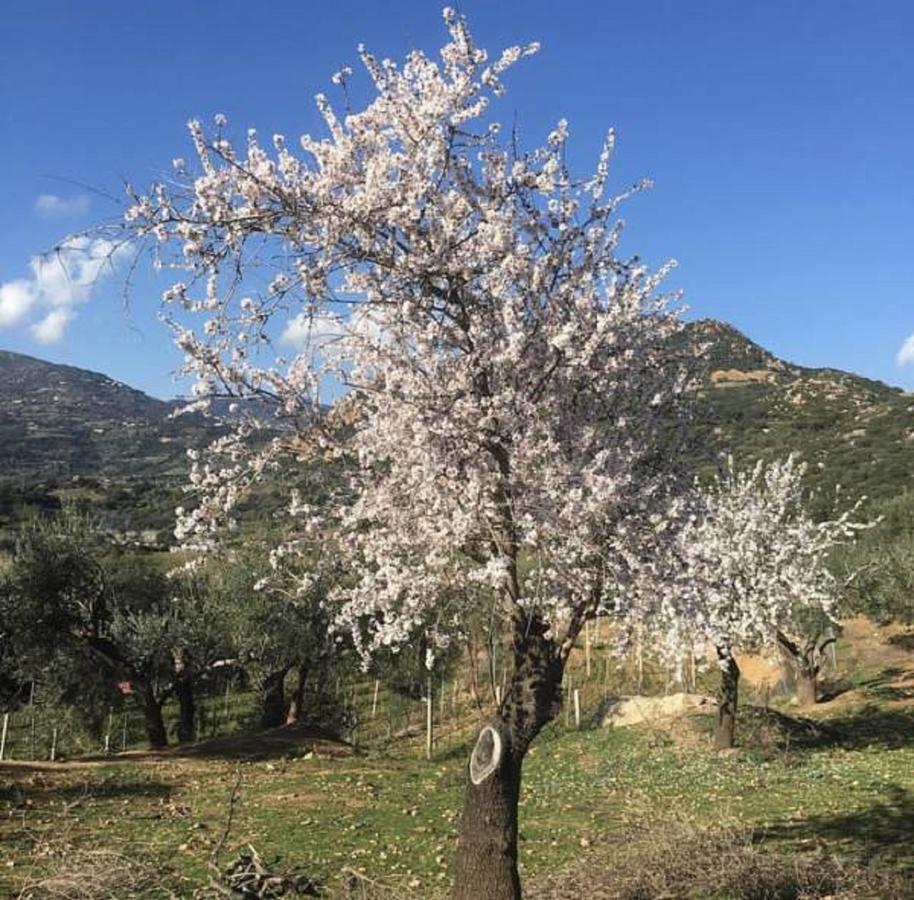 Agriturismo Su Barraccu Loceri Eksteriør bilde