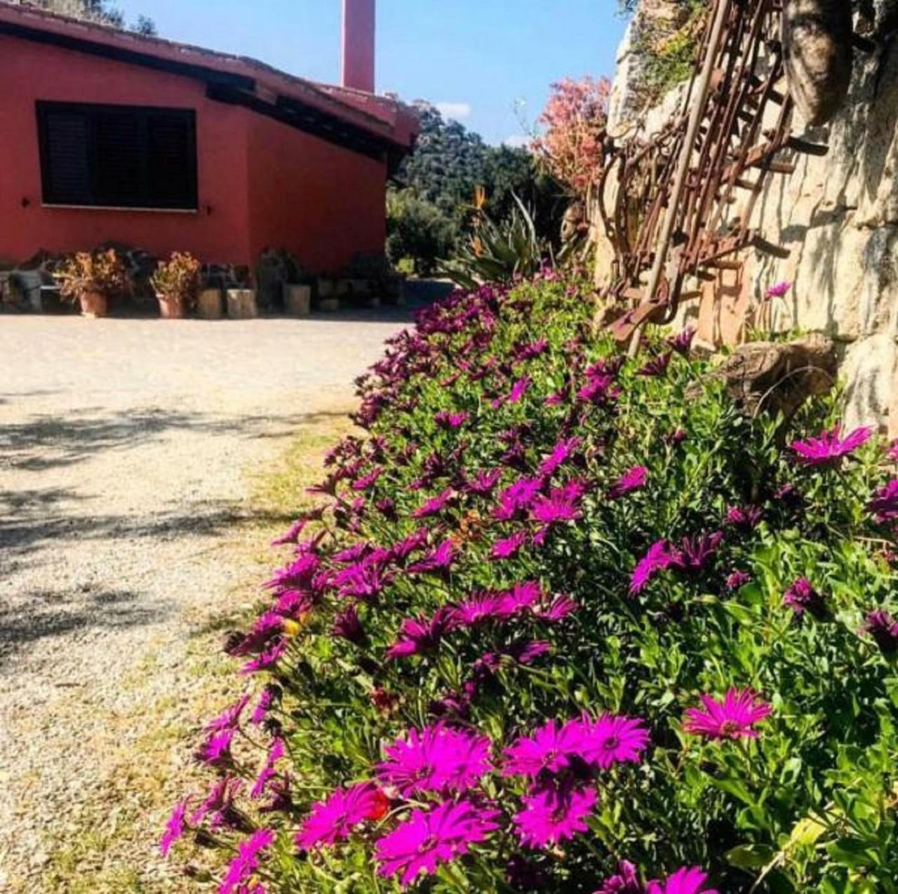 Agriturismo Su Barraccu Loceri Eksteriør bilde